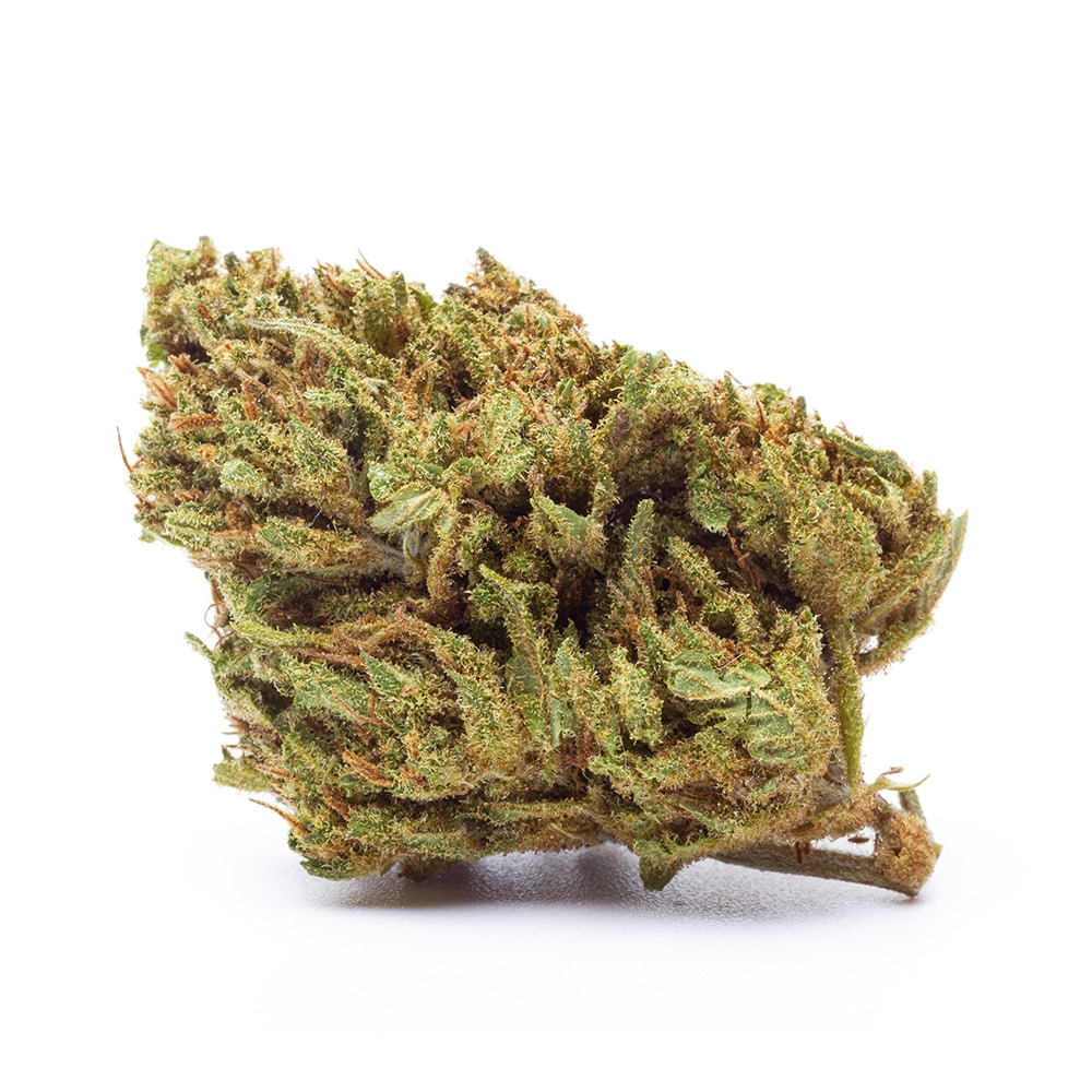 Junky Milk CBD Paradise Farms CBD