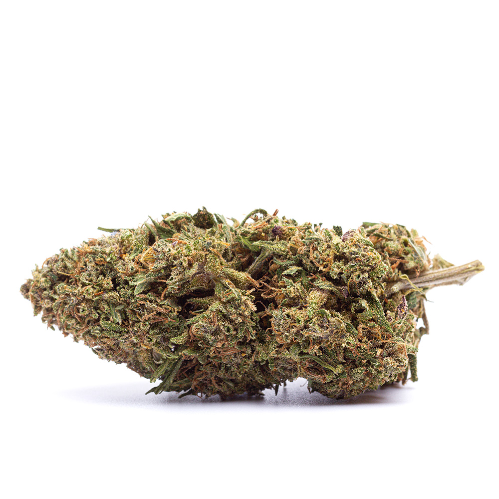 Orange Bud