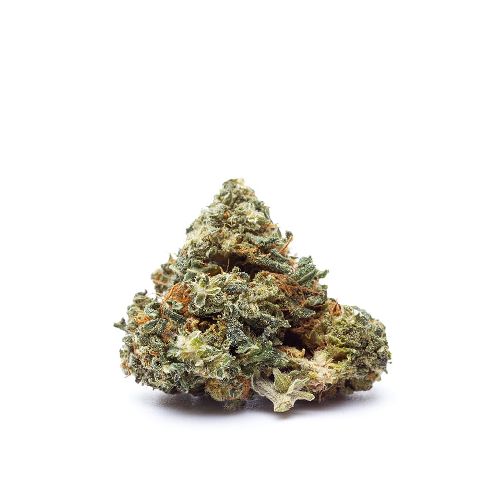 Charlotte's Web CBD Paradise Farms CBD