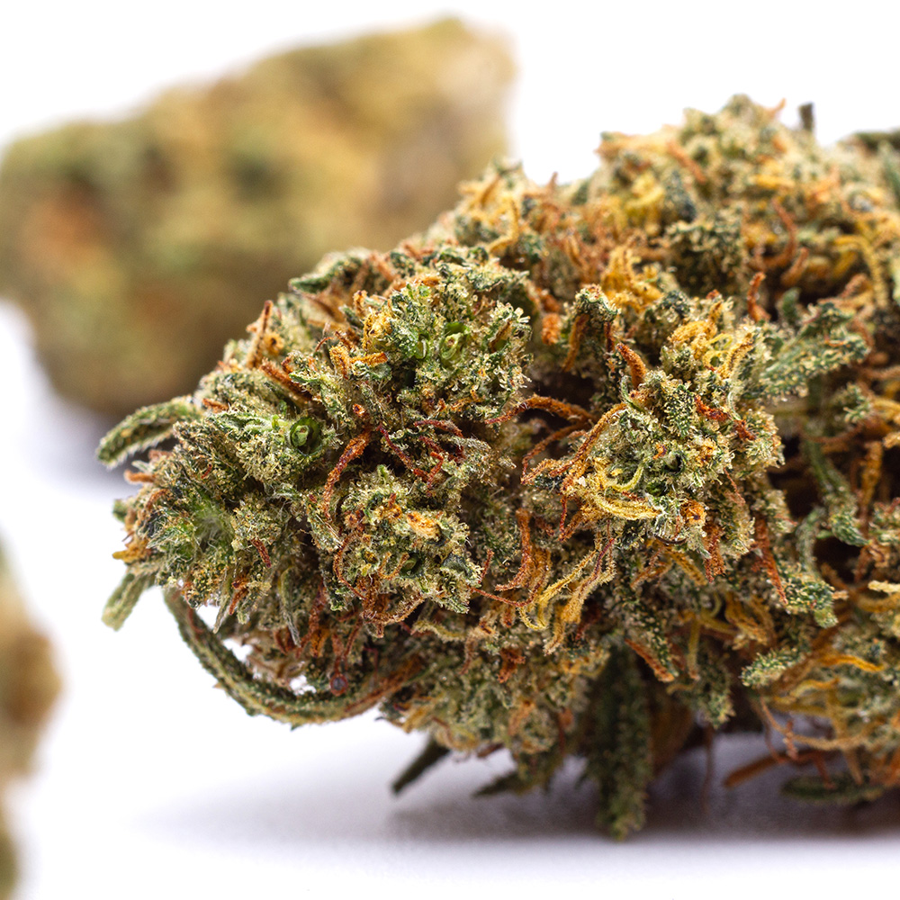 Triple cheese cbd by Paradise Farms CBD