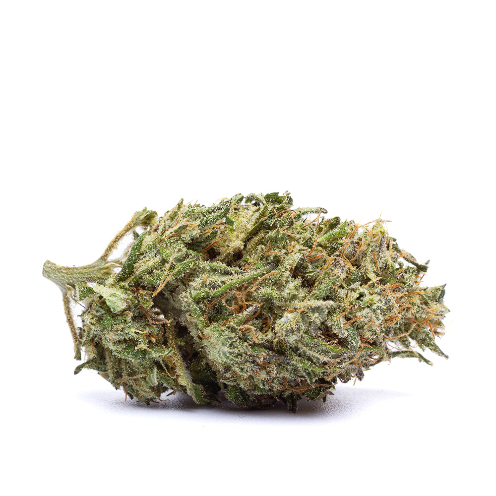 Mango X Zkittlez