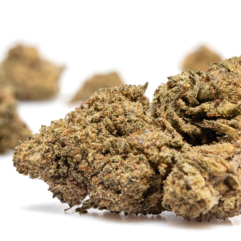 ZKITTLEZ – THX